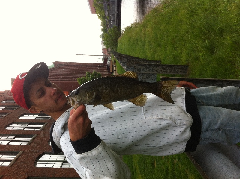 2.5lb small mouth bass