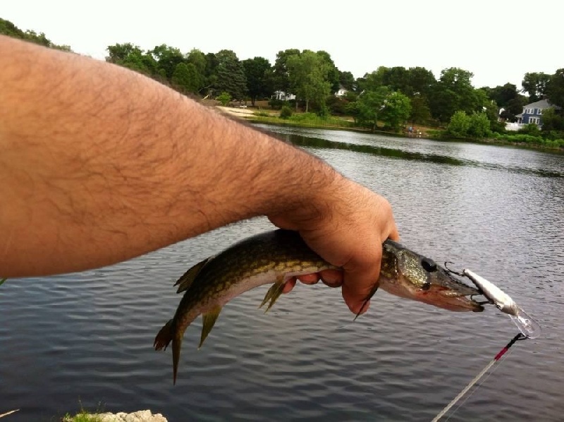  	 Wrights Pond 08/22/2013